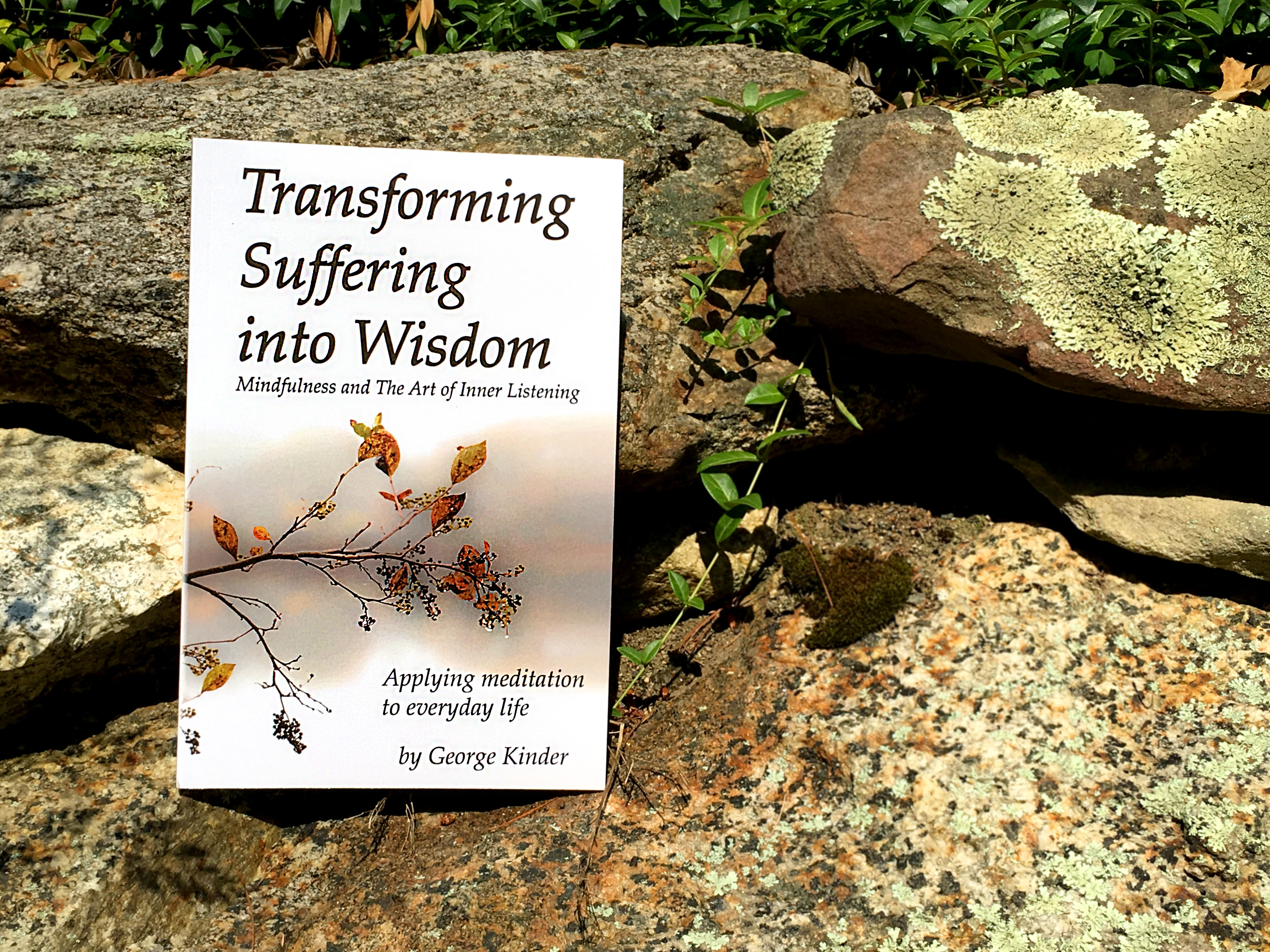 Transforming Suffering into Wisdom